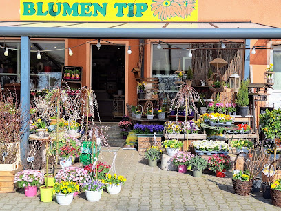Blumen Tip