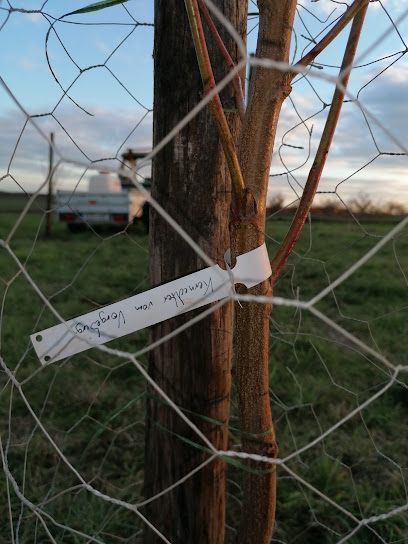 Landschaftsgestalter