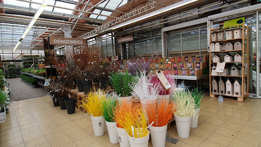 Schley's Blumenparadies Ratingen