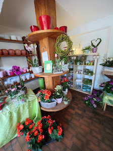 Blumen Egelhof
