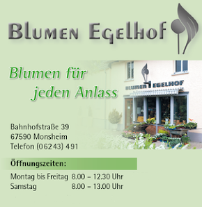 Blumen Egelhof