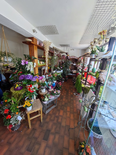 Blumen Egelhof
