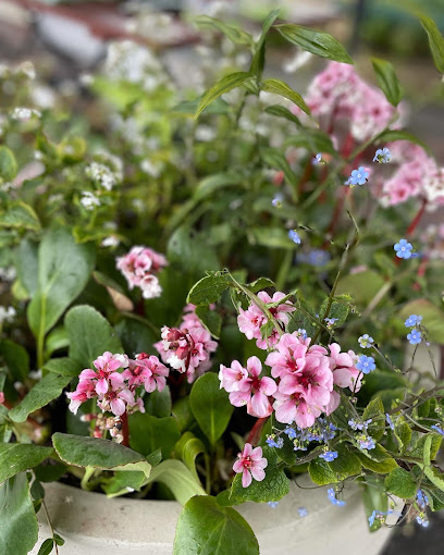 niceplant