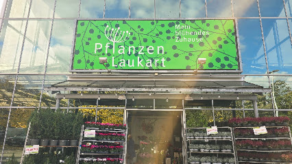 Pflanzen Laukart