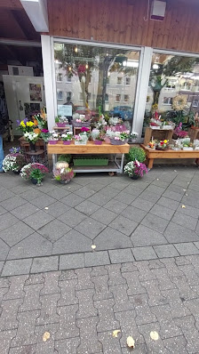 Blumen Schneider