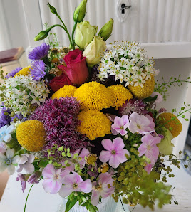 Mohnblüte