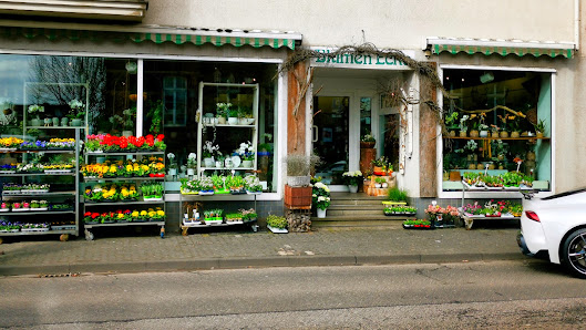 Blumen Ecke