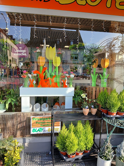 Blatt & Blüte - Ihr Florist in Bitburg/Eifel ❀