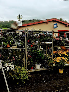 Blumen Weyandt