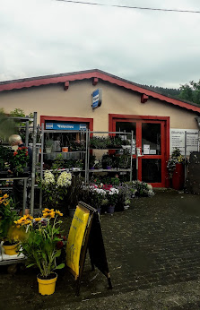 Blumen Weyandt