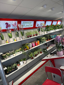Gartenservice Becker