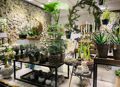 Blumen Schuster Inh: Stefan Schuster
