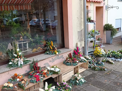 Blumen Konz