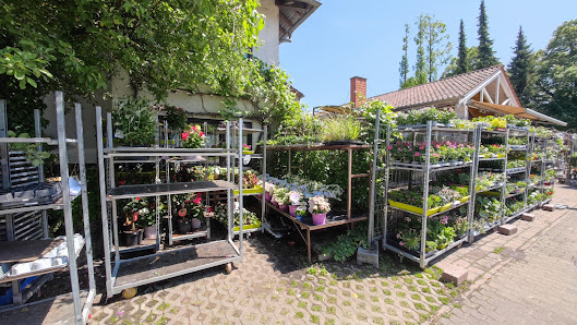 Blumenhaus und Gärtnerei Raß