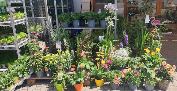 Blumenhaus und Gärtnerei Raß