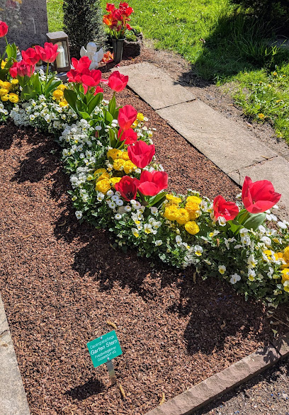 Garten Stern
