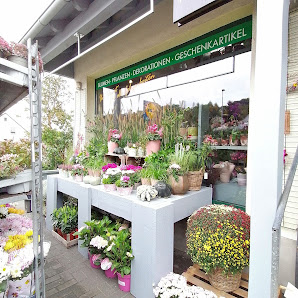 Blumen Adolphs