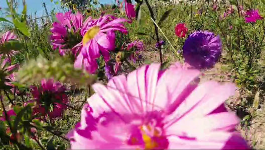 Gartenbau Thewalt