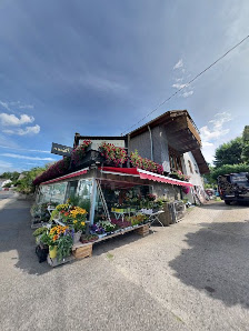 Blumen-Jentzsch