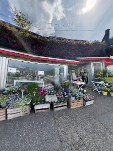 Blumen-Jentzsch