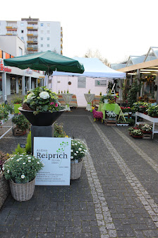 Blumen Andrea Reiprich e.K.