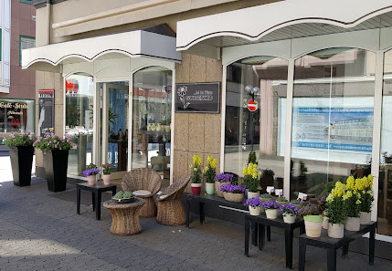 ... bei der Blume GUBENKO