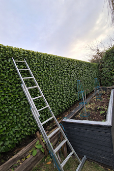 AE Gartenpflege