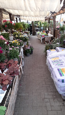 Blumenhaus Groß