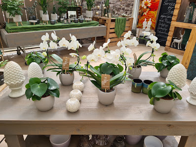 Blumen Hammer, Koblenz