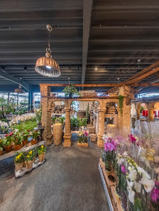 Blumenparadies Bausch