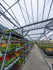 Blumenparadies Bausch