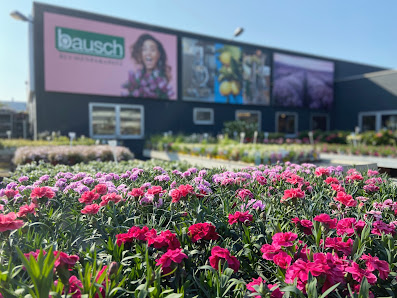 Blumenparadies Bausch