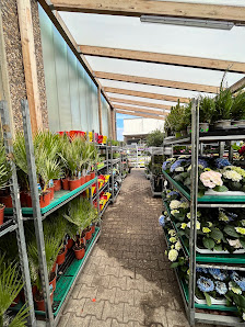 Blumendeal Aachen