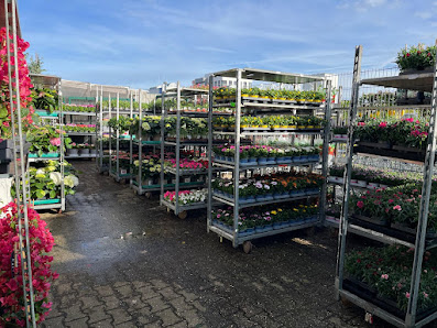 Blumendeal Aachen