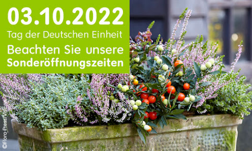 Blumen Risse Blumenmarkt Neuwied