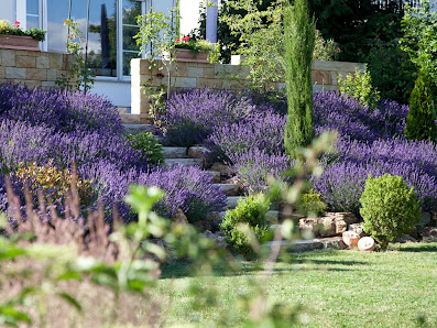 GRÜNFINK Gartengestaltung & Pflege