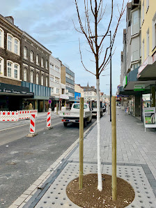 Will - Baumschulen und Gartengestaltung