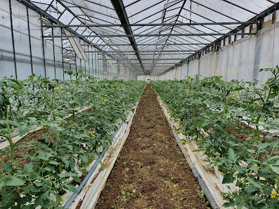 Werner Lennartz Gartenbau und Floristik