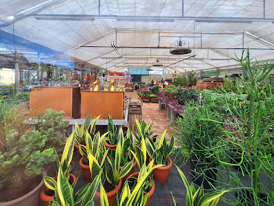 Blumenhaus Katke