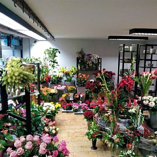 Blumenhaus Winter GbR