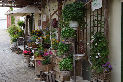 Blumenmarkt in Dellfeld