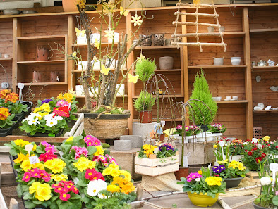 Blumenshop Jürgen Gegner