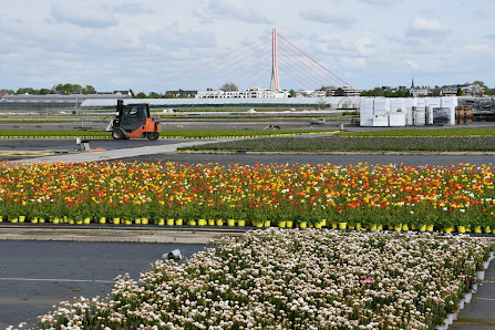 Gartenbau Leuchtenberg