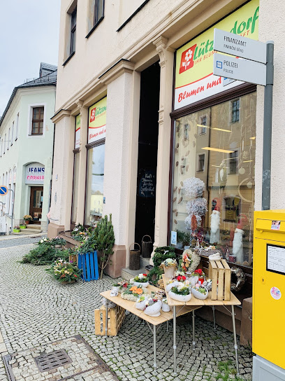 Lützendorf Ihr Blumengeschäft und Gartengestalter