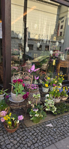Blumenladen, Schmetterlingsgarten Blumen & Deko Atelier