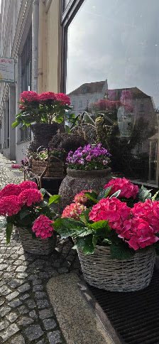 Blumenladen, Schmetterlingsgarten Blumen & Deko Atelier