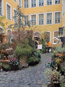 saltoflorale