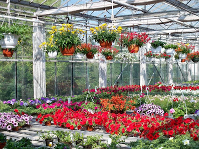 Blumenfachgeschäft & Gärtnerei Griesel