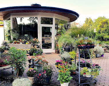 Blumenpavillon Bleßmann
