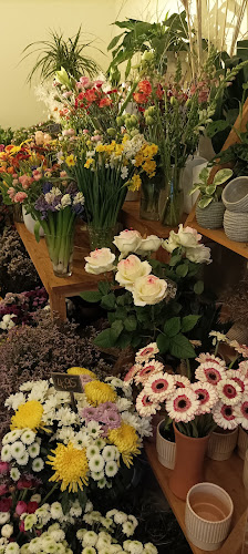 WildWuchs Blumengeschäft